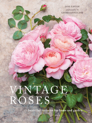 cover image of Vintage Roses